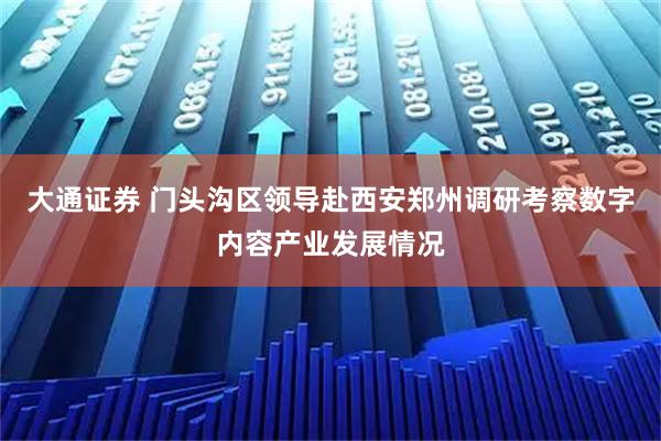 大通证券 门头沟区领导赴西安郑州调研考察数字内容产业发展情况